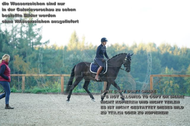 s_K3F09225.JPG